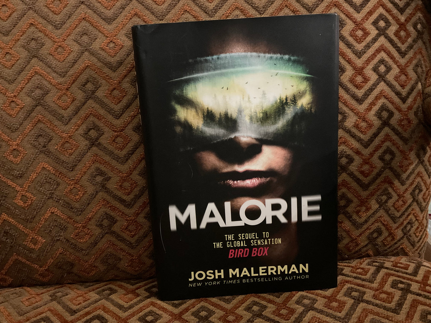 Malorie by Josh Malerman (Bird Box #2)