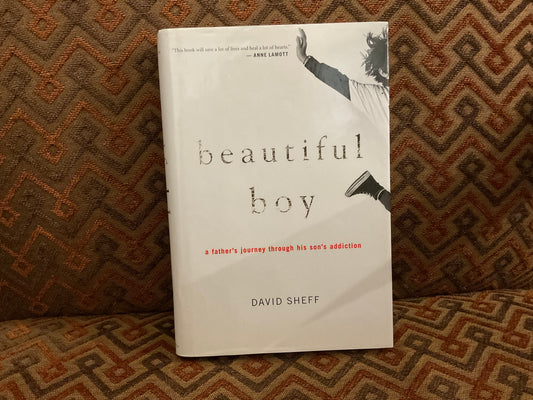 Beautiful Boy: A Father’s Journey through his Son’s Addiction by David Sheffield