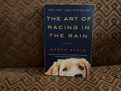 The Art of Racing in the Rain by Garth Stein