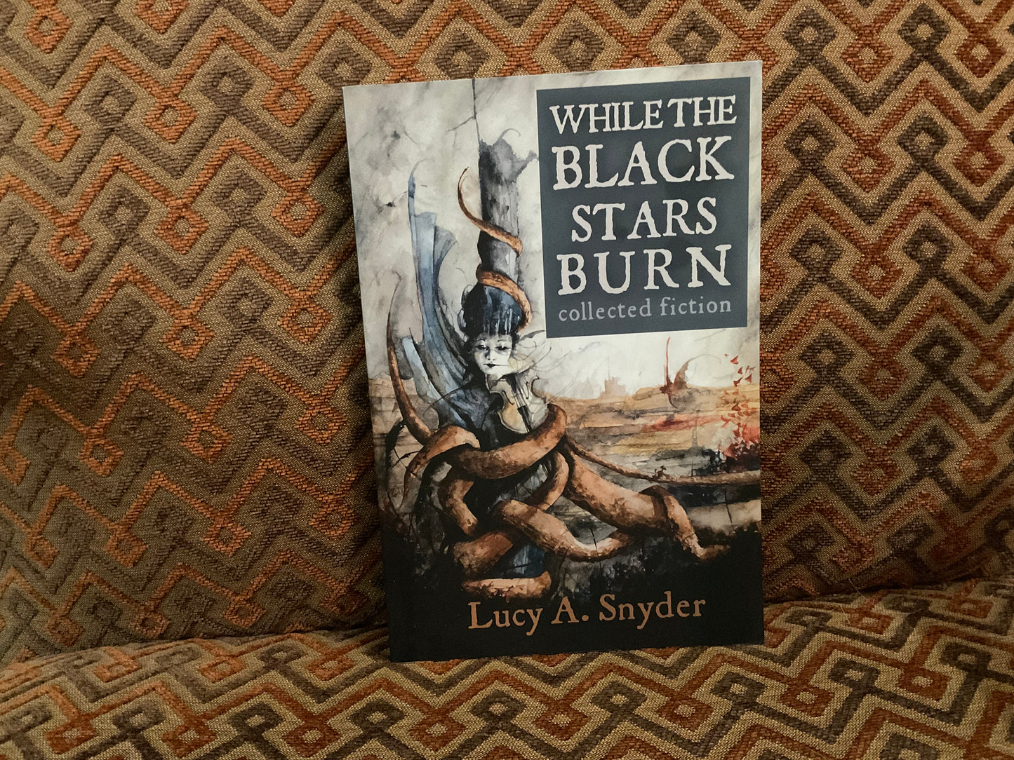 While Black Stars Burn by Lucy A. Snyder