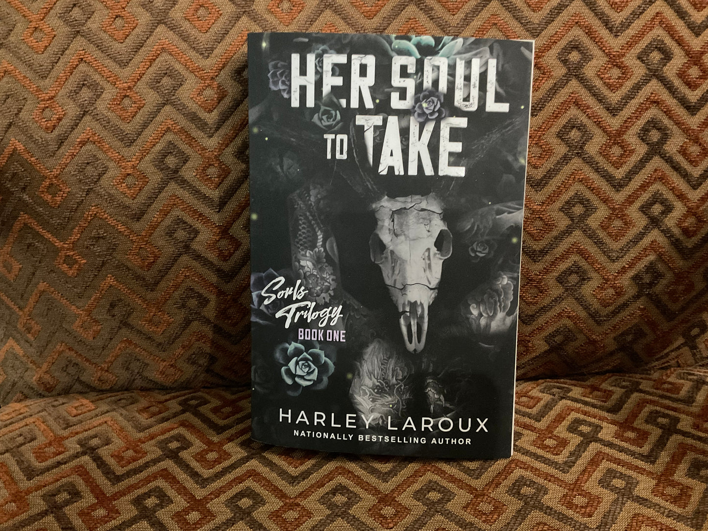 Her Soul to Take by Harley Laroux