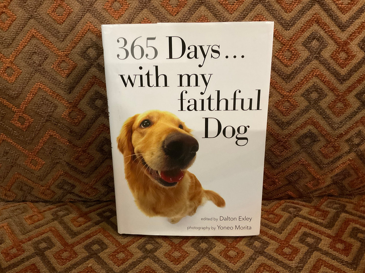 365 Days with My Faithful Dog edited by Dalton Exley