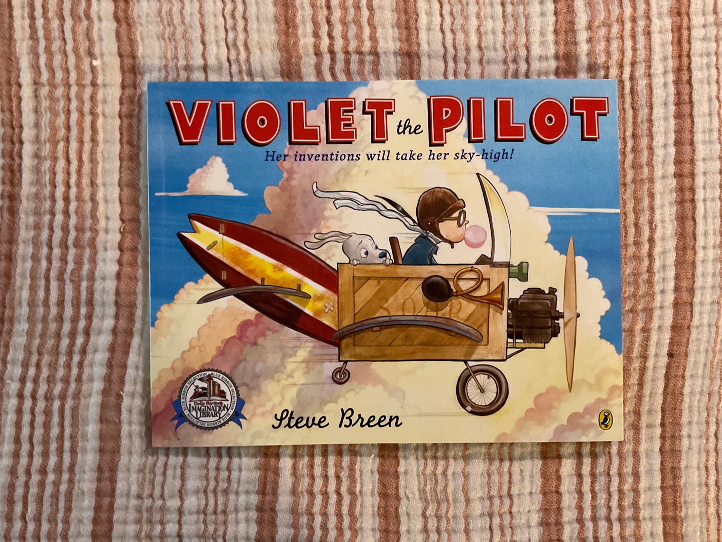 Violet the Pilot by Steve Breen