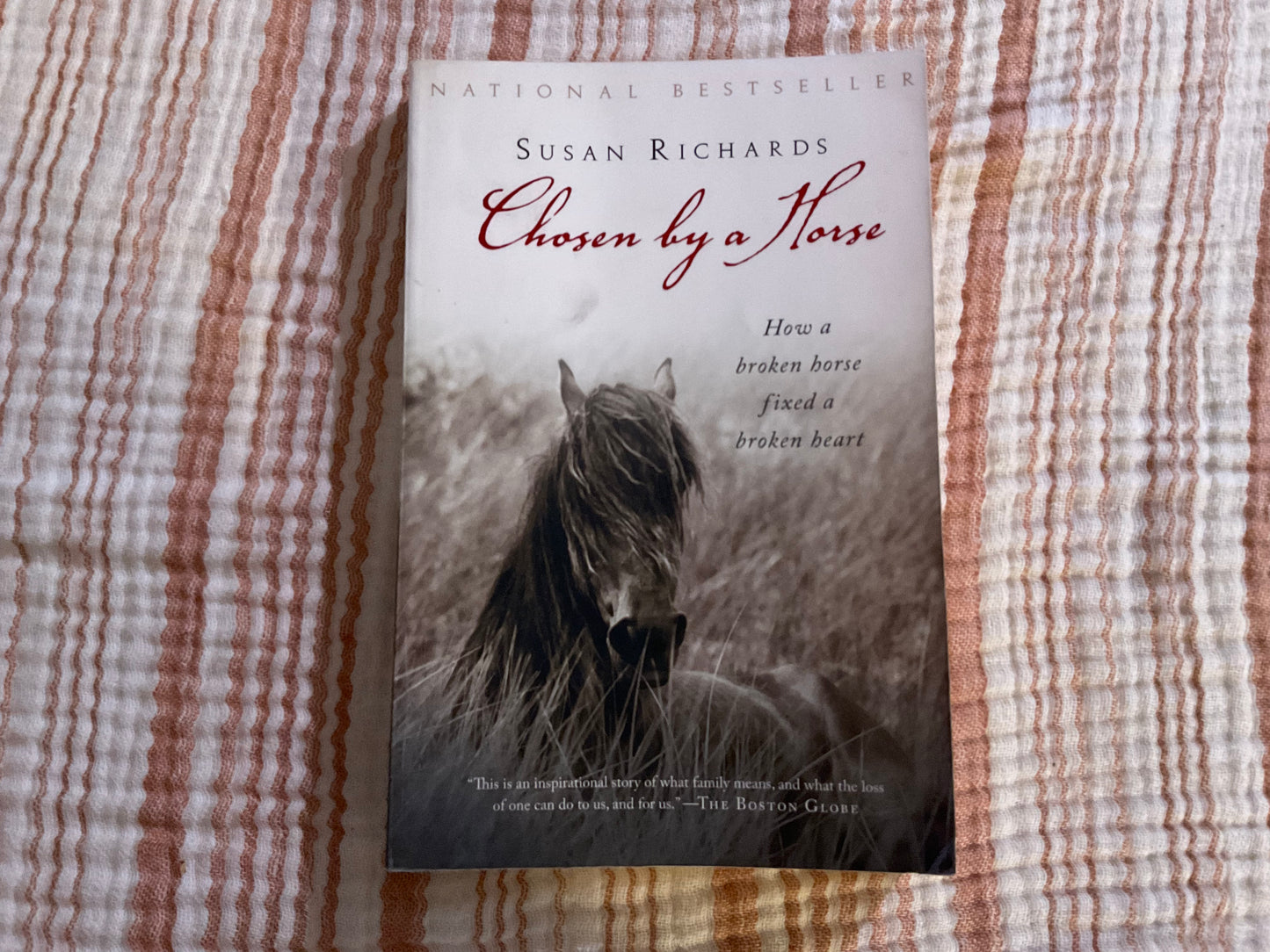 Chosen by a Horse by Susan Richards