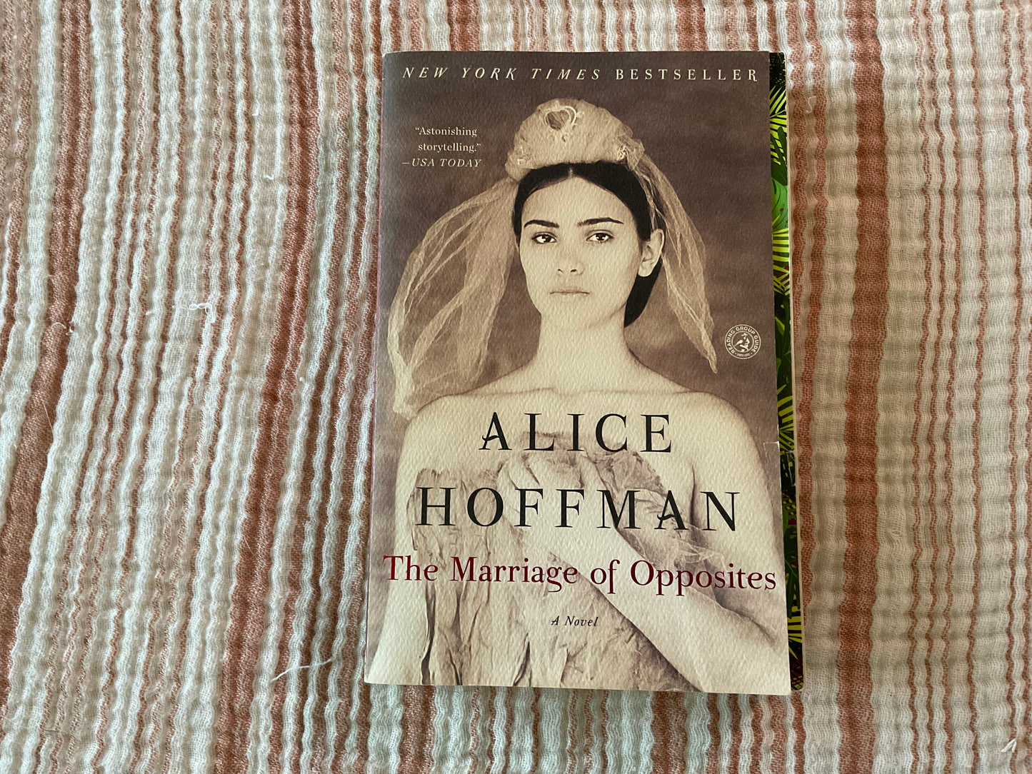 The Marriage of Opposites by Alice Hoffman