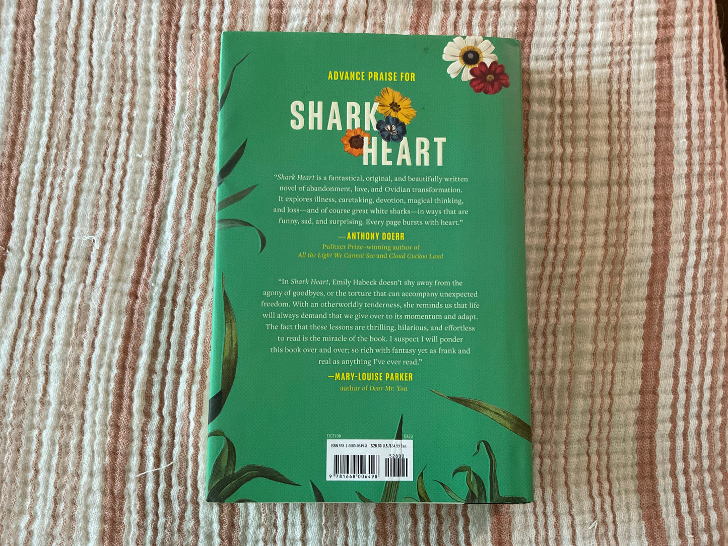 Shark Heart by Emily Habeck