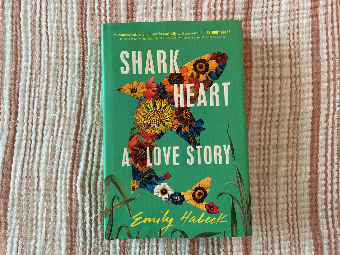 Shark Heart by Emily Habeck