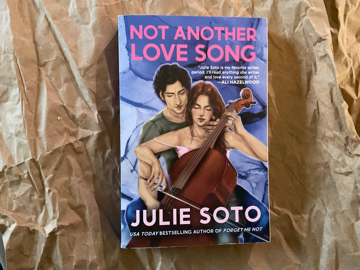 Not Another Love Song by Julie Soto