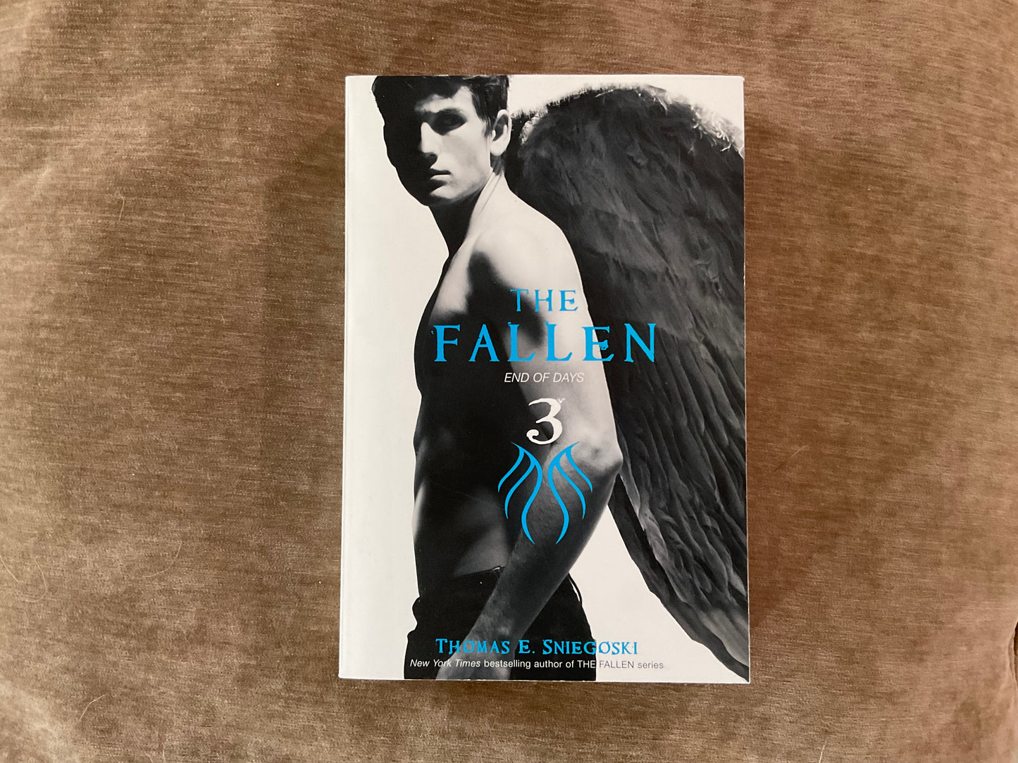 The Fallen: End of Days (#3) by Thomas E. Sniegoski