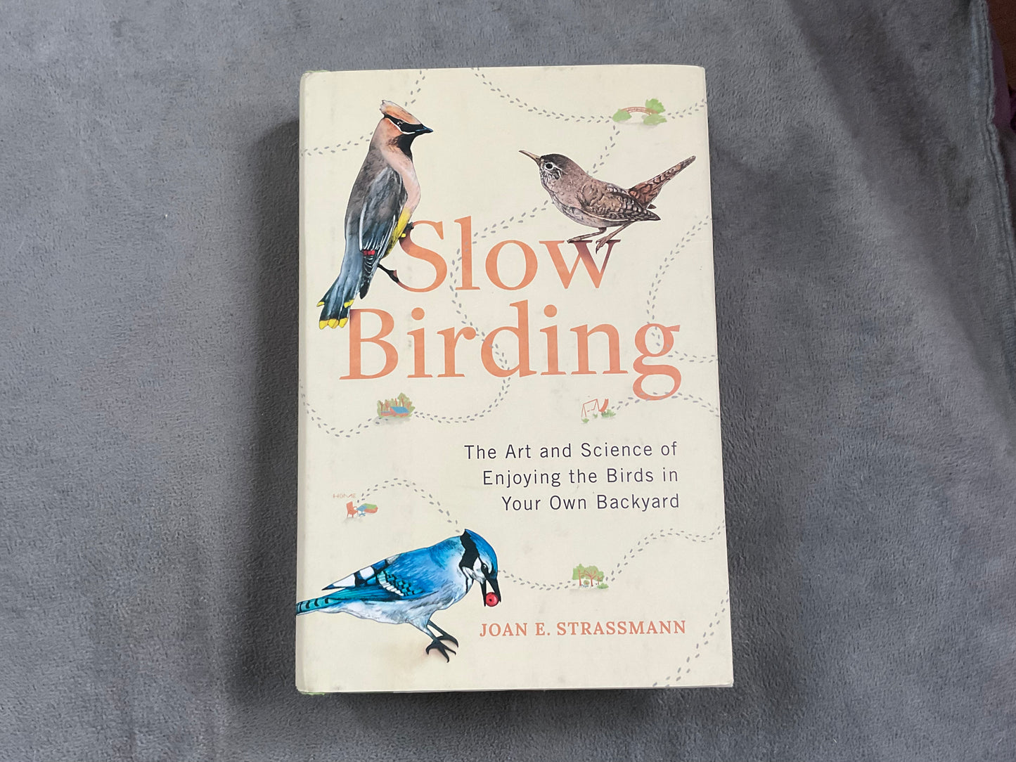 Slow Birding by Joan E. Strassmann