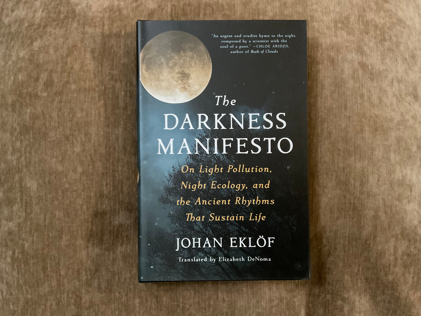 Darkness Manifesto by Johan Eklof