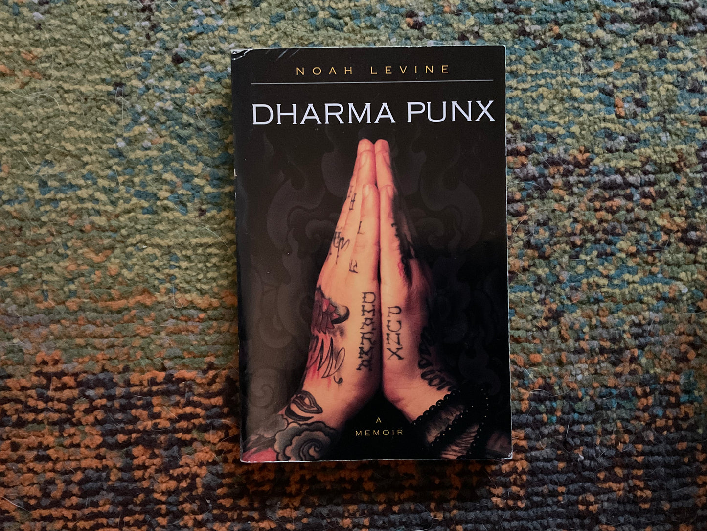 Dharma Punx by Noah Levine