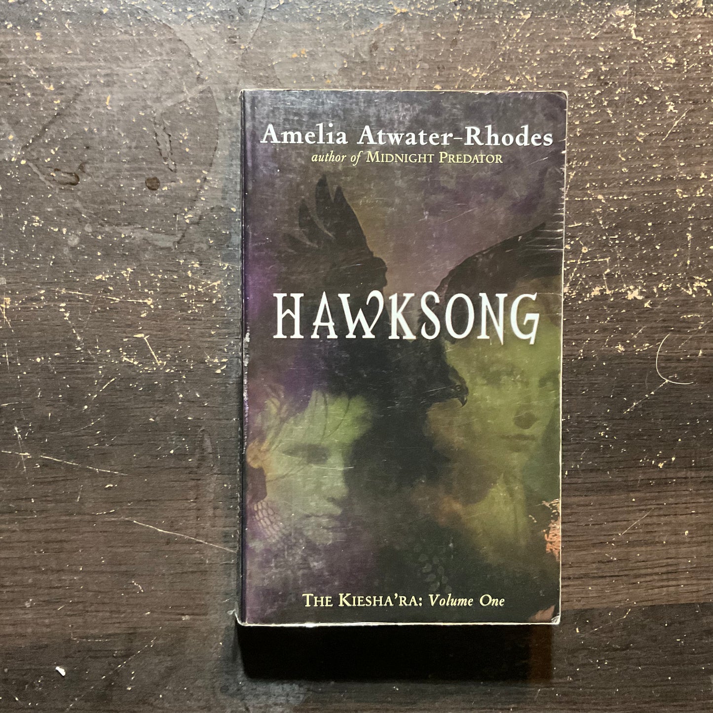 Hawksong by Amelia Atwater-Rhodes