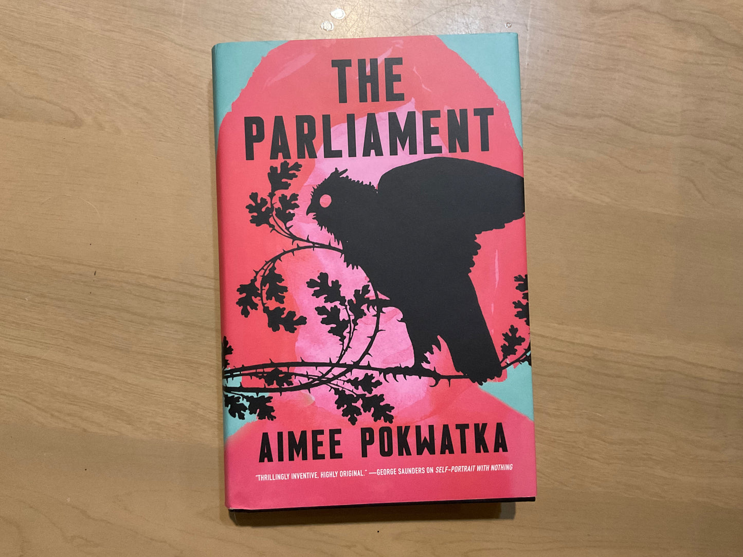 The Parliament by Aimee Pokwatka