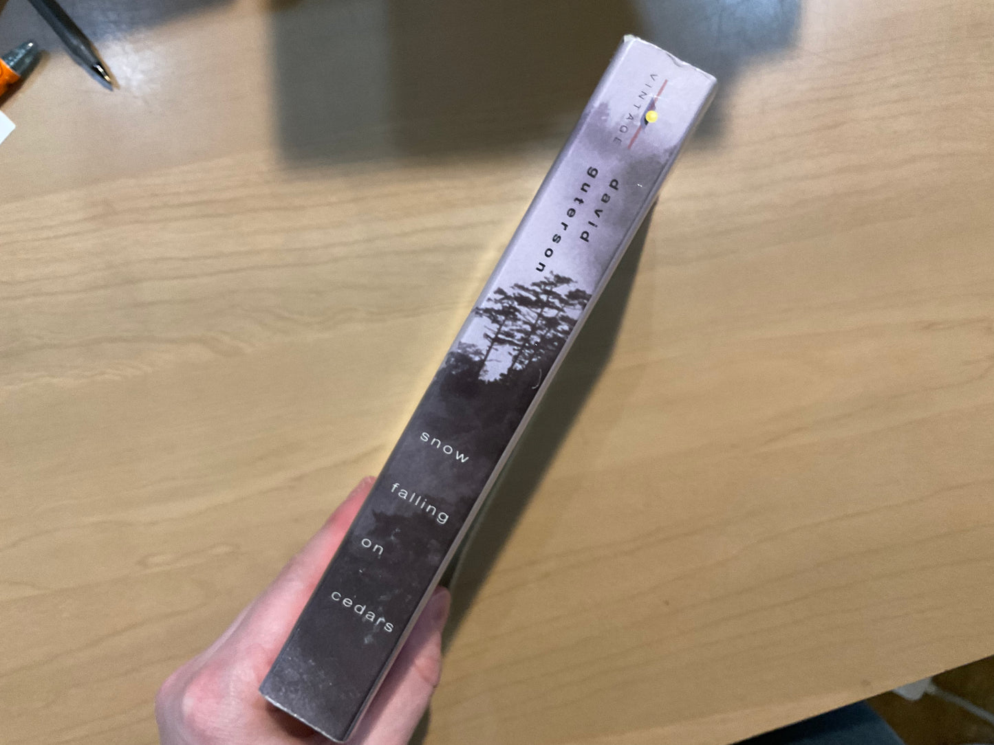 Snow Falling on Cedars by David Guterson