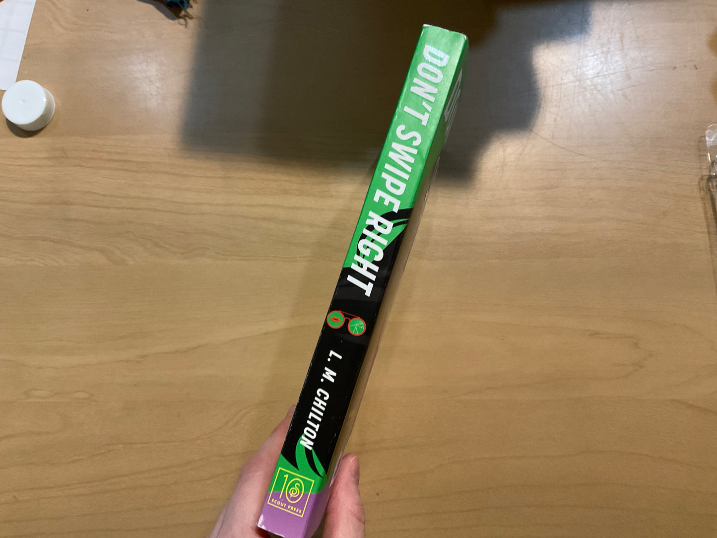 Don’t Swipe Right by L. M. Chilton