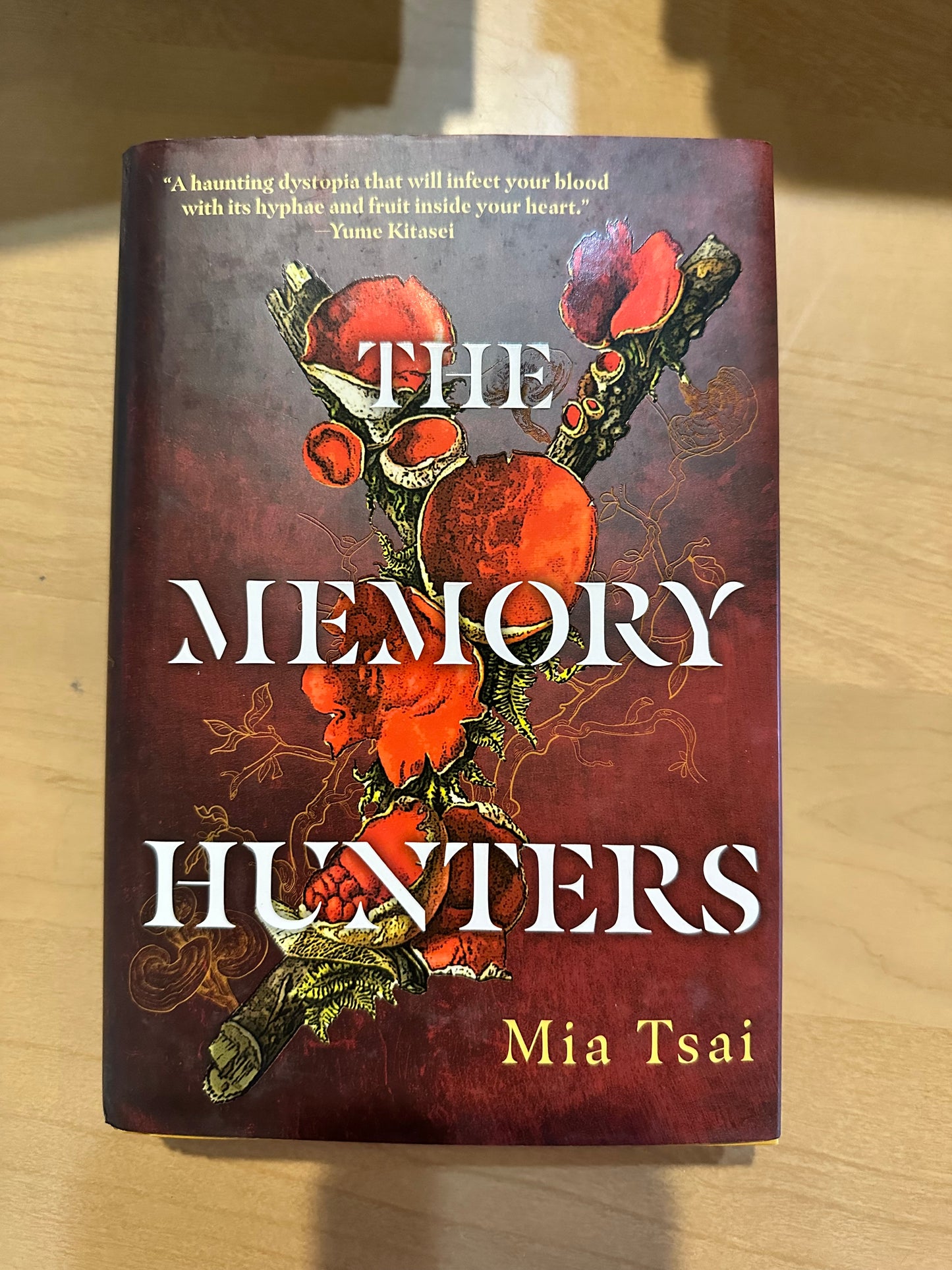The Memory Hunters by Mia Tsai