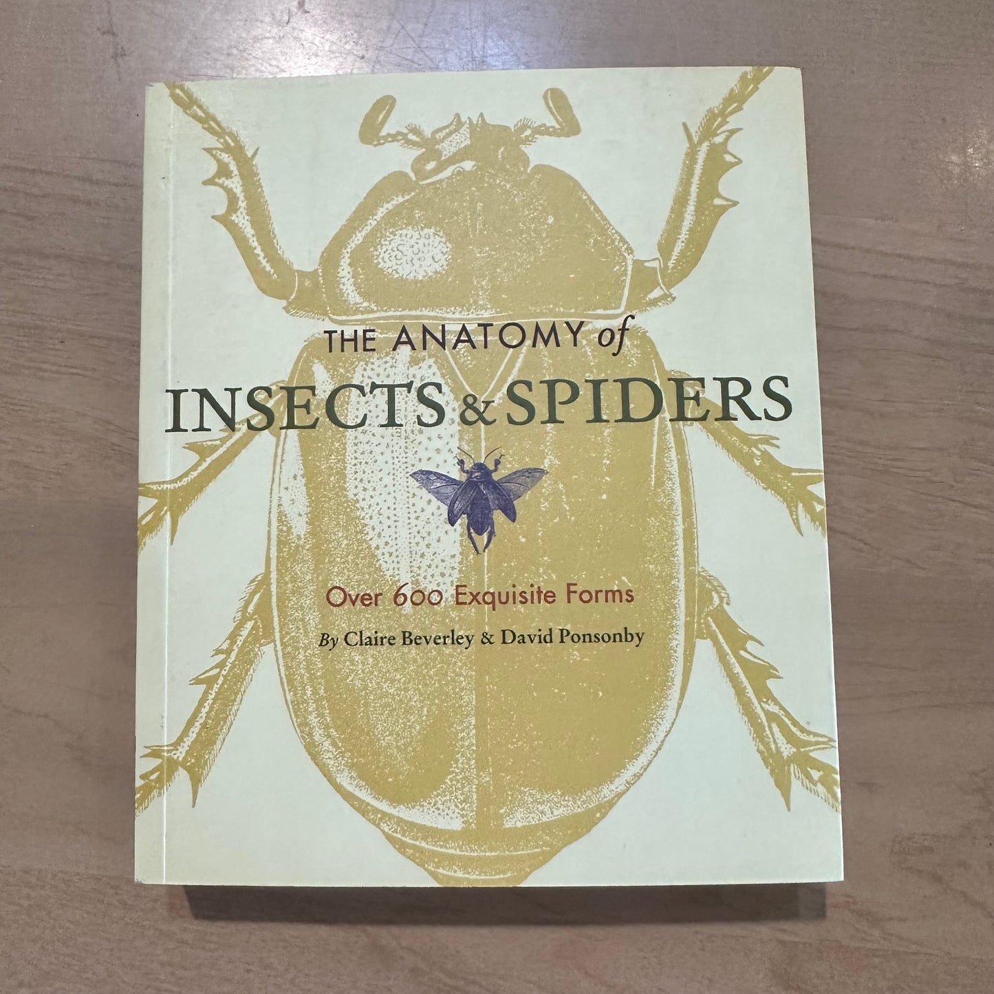 The Anatomy of Insects and Spiders by Claire Beverley and David Ponsonby