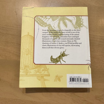The Anatomy of Insects and Spiders by Claire Beverley and David Ponsonby