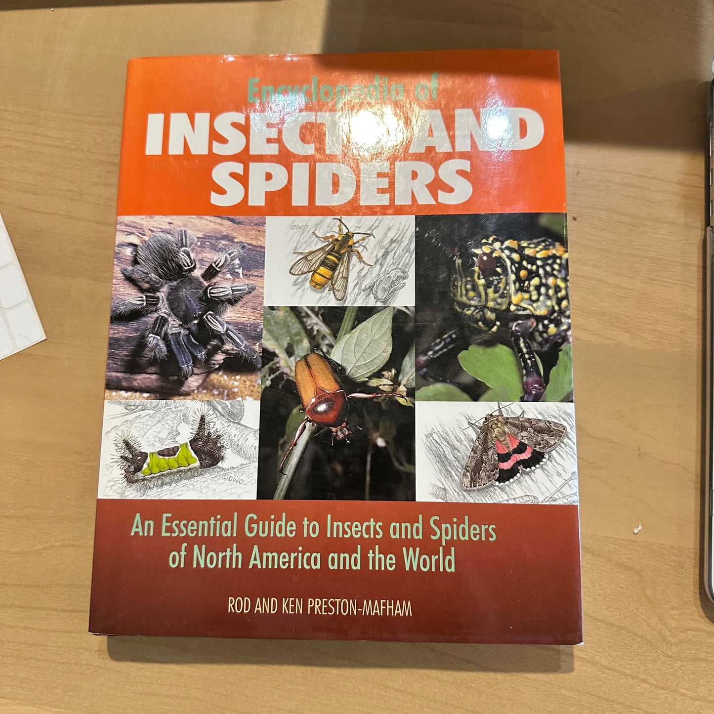 Encyclopedia of Insects and Spiders