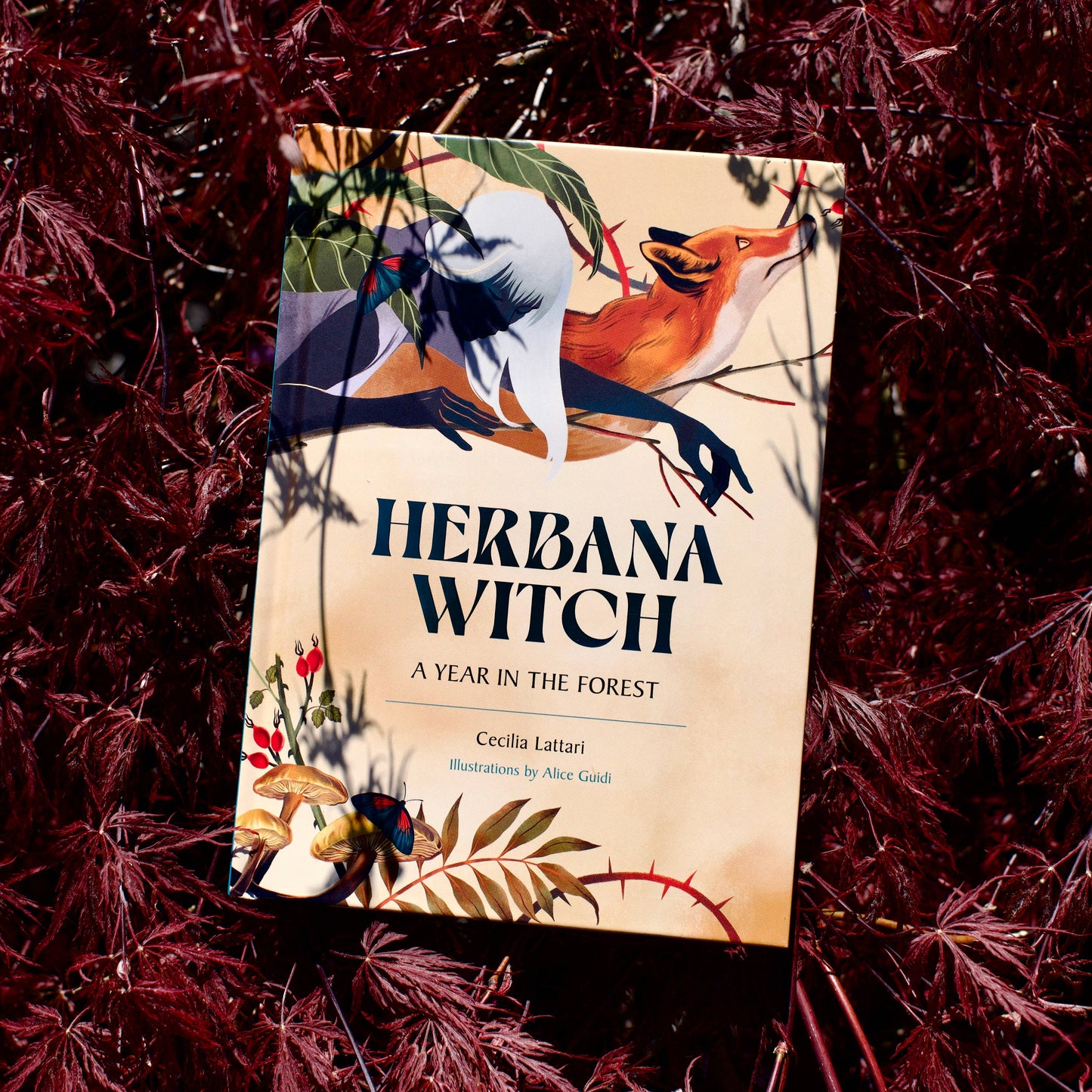Herbana Witch: A Year in the Forest (Wheel of the Year Book)