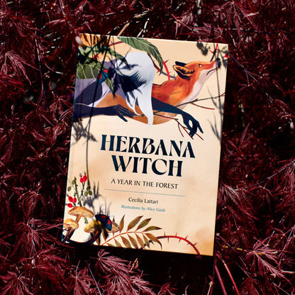 Herbana Witch: A Year in the Forest (Wheel of the Year Book)