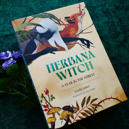 Herbana Witch: A Year in the Forest (Wheel of the Year Book)